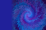Learn Hypnosis